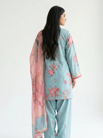 Women's Clothing / 3-Piece Suit (or Salwar Kameez)